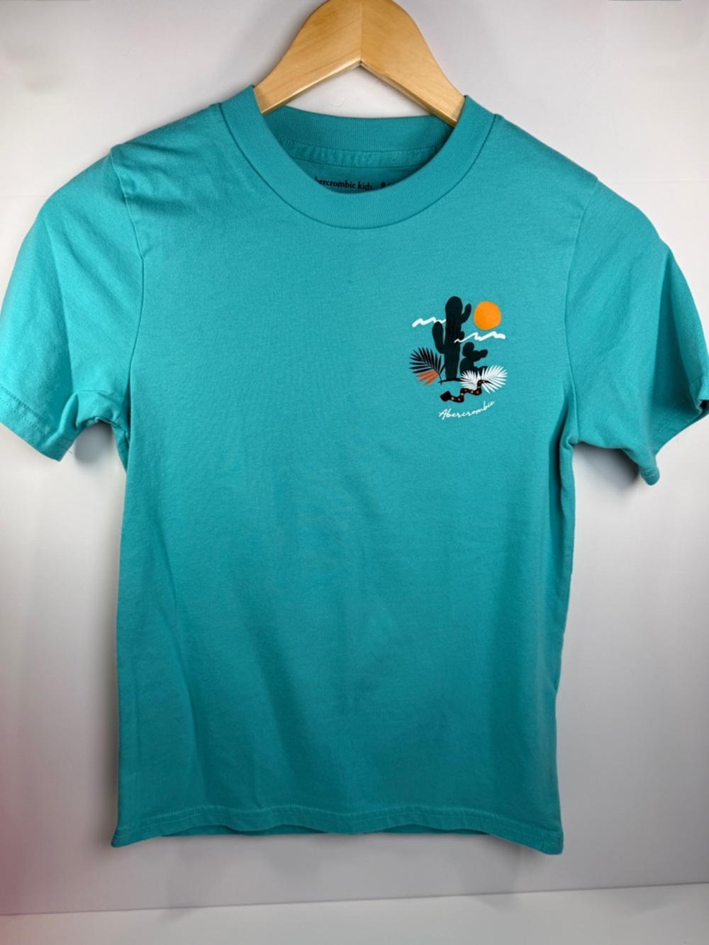 Abercrombie Kids Turquoise Short-Sleeve Tee with Desert Graphic